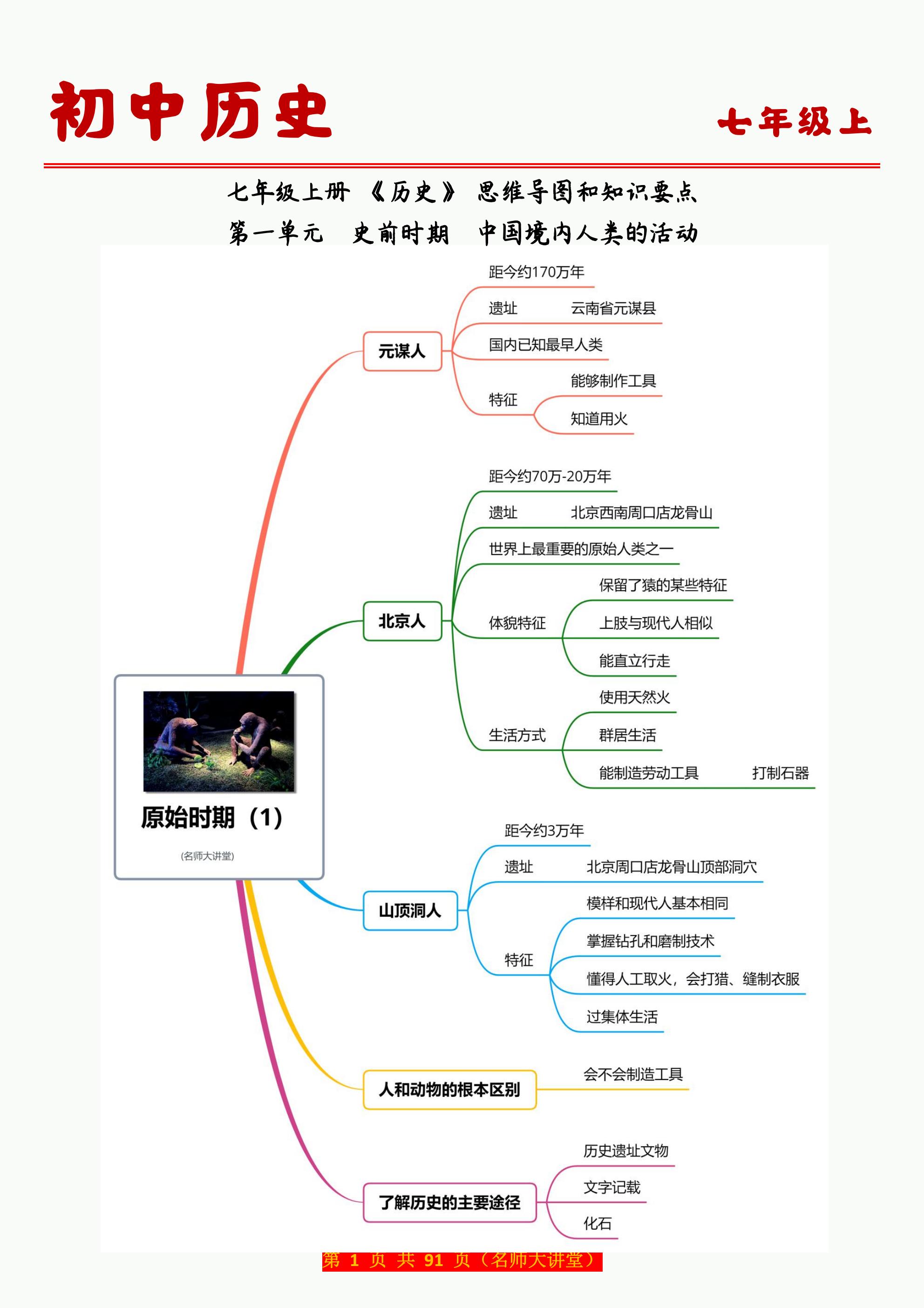 黄蜂的思维导图图片