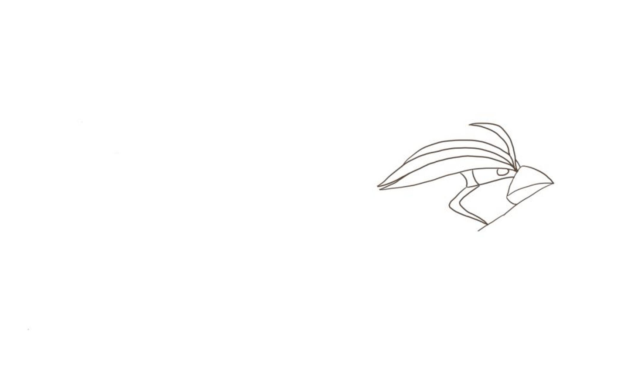 步骤:	 第一步,先画出比比鸟的脑袋部分.