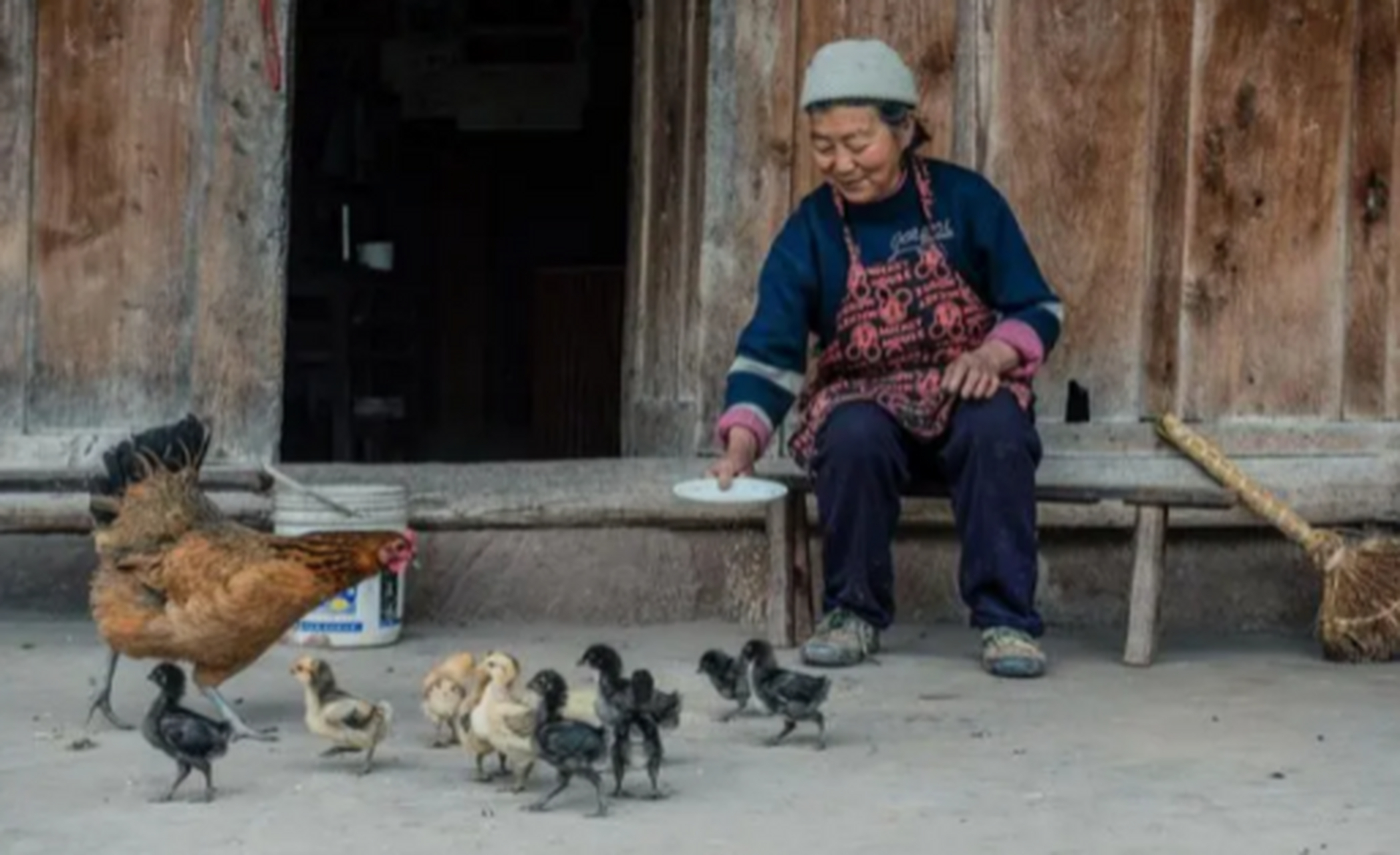 喌这个字读(zhōu),它在汉字里属于生僻字,解释为呼唤鸡的声音,这个字