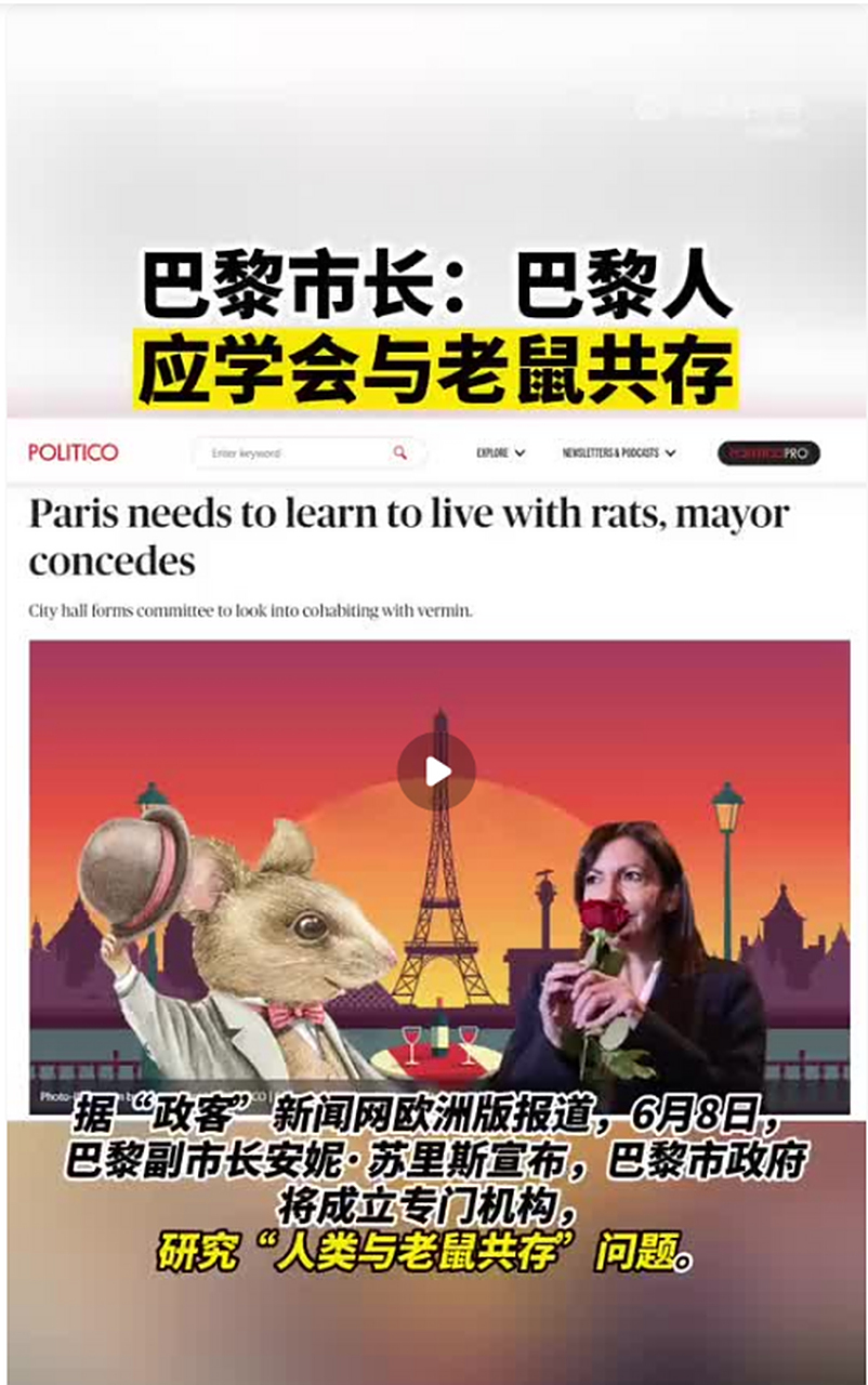 巴黎市政府决定成立一个委员会,研究人类与老鼠能否