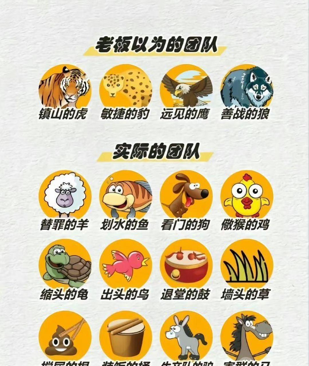 网友:老板以为的团队 vs 实际的团队 #搞笑趣味图