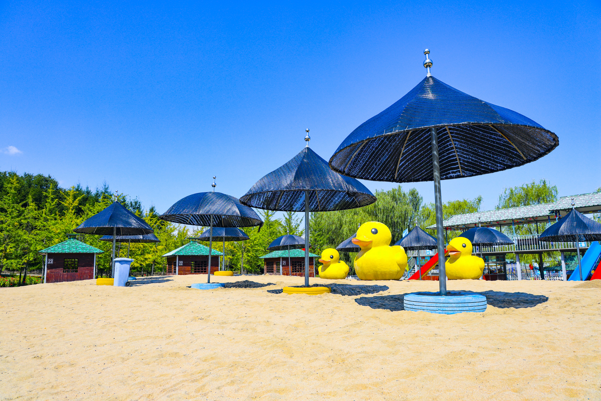 振兴新突破辽宁杠杠滴# #美好辽宁欢迎您# 大黄鸭农业生态园