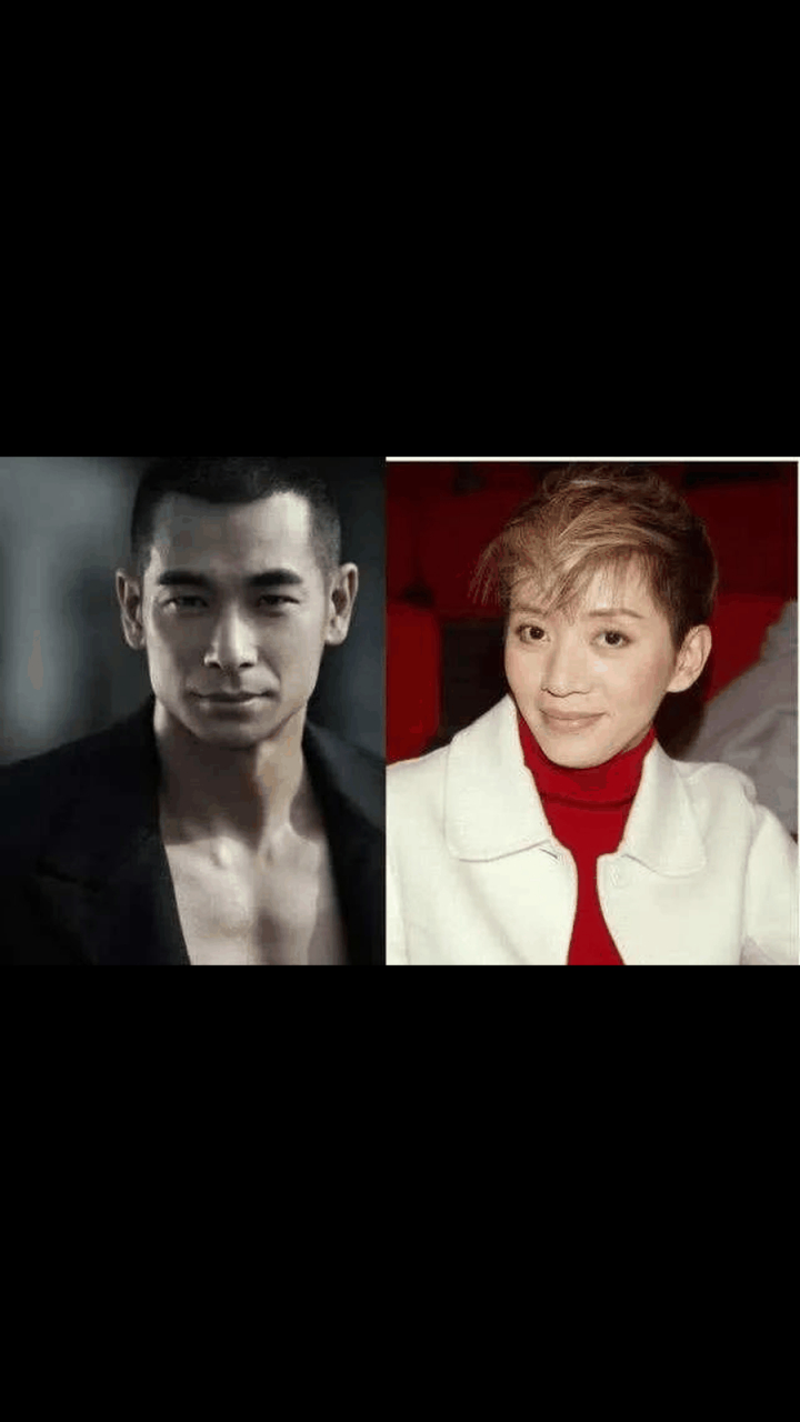 gif创作人 一次采访中,主持人问赵文卓,梅艳芳重病的时候,你为什么