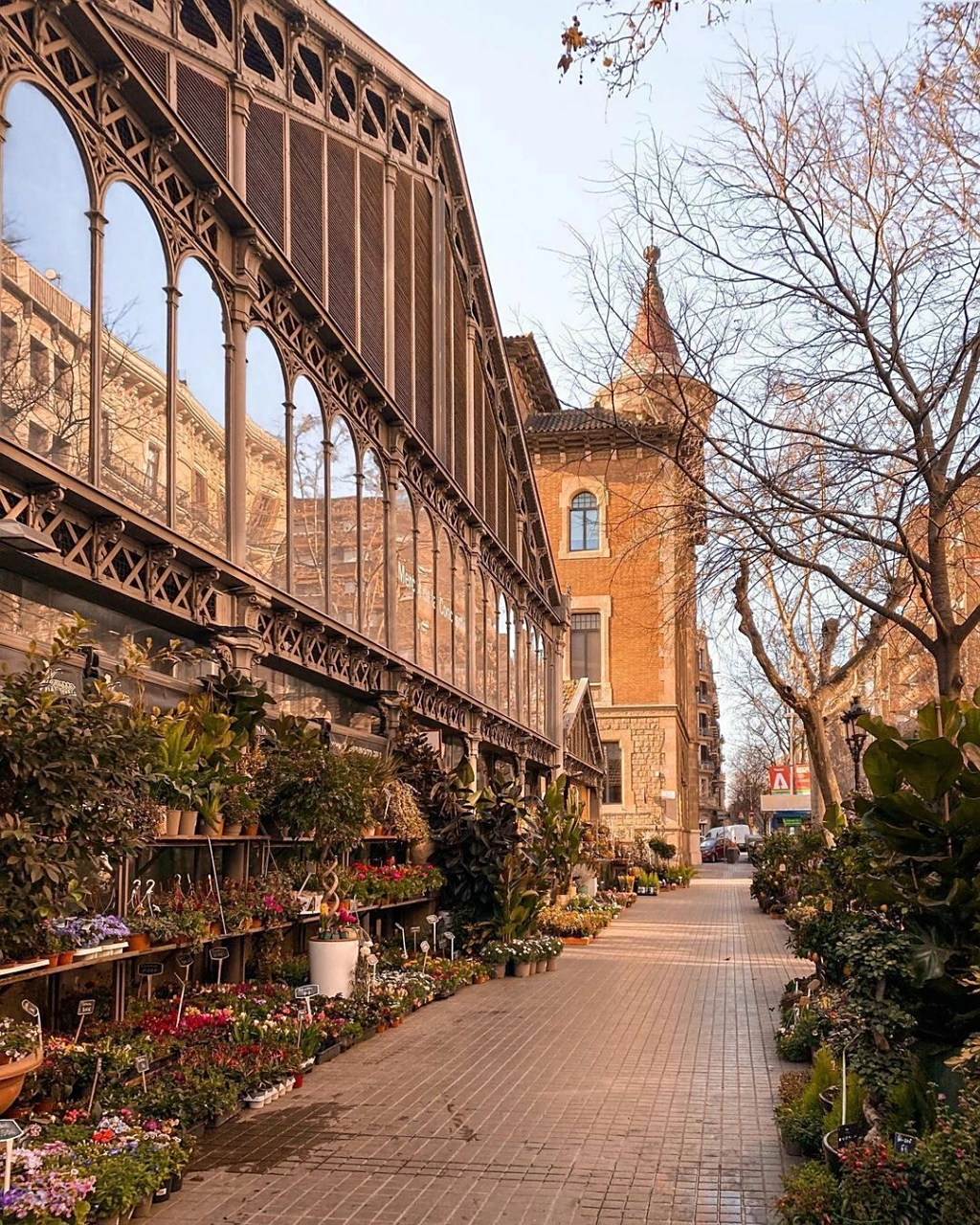 爱上西班牙只需要一瞬间! 巴塞罗那街景～ #品质生活家