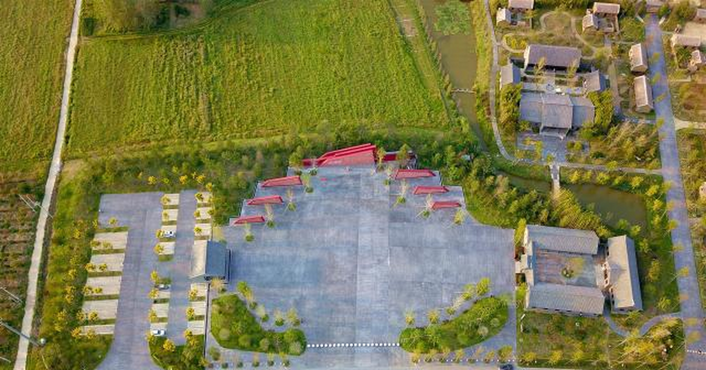 拍遍泗洪之陈圩乡大王庄新四军革命根据地旧址