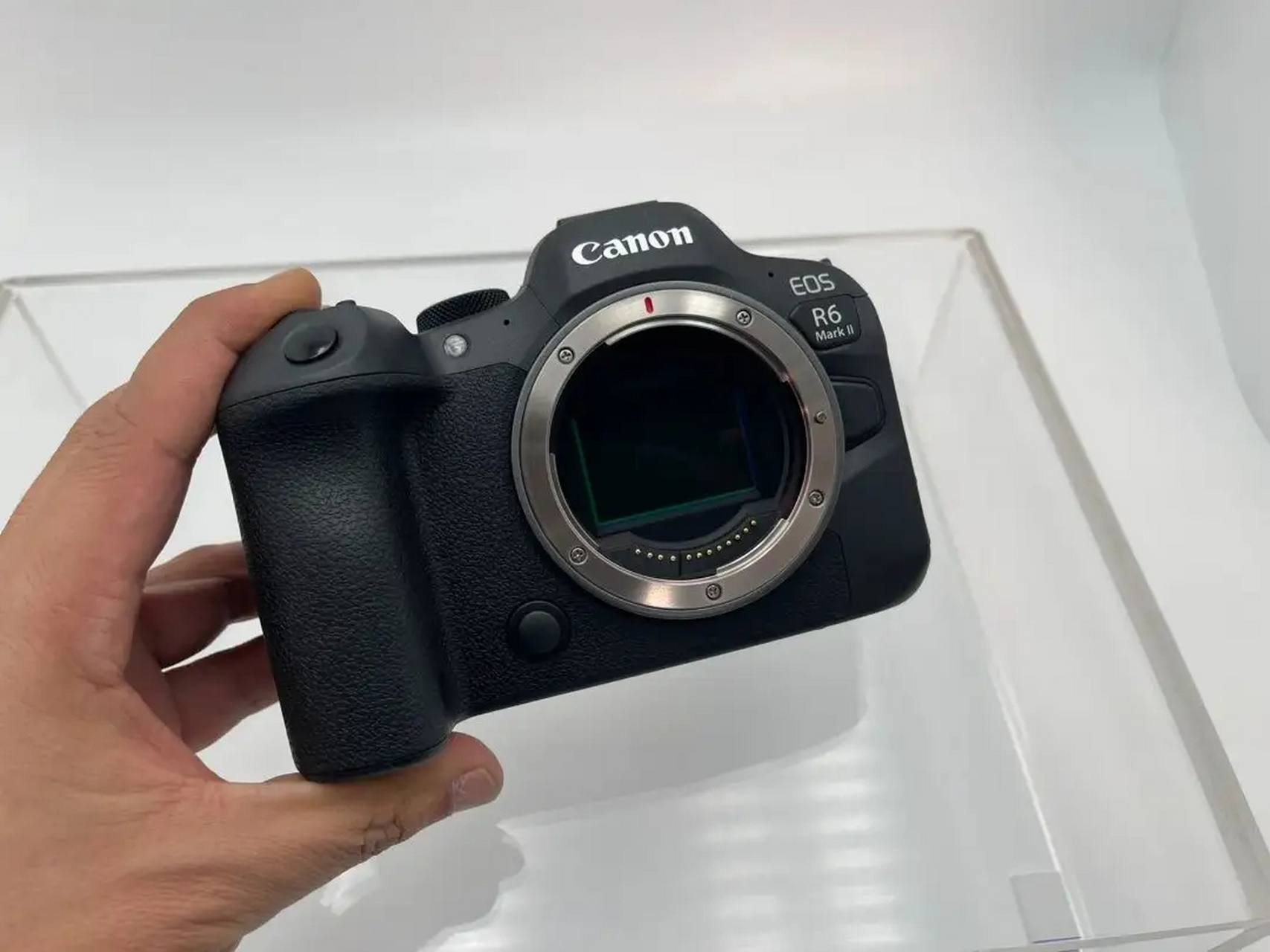 佳能eos r6 mark ii 作为佳能一款定位仅仅低于佳能r5的高端机型,其