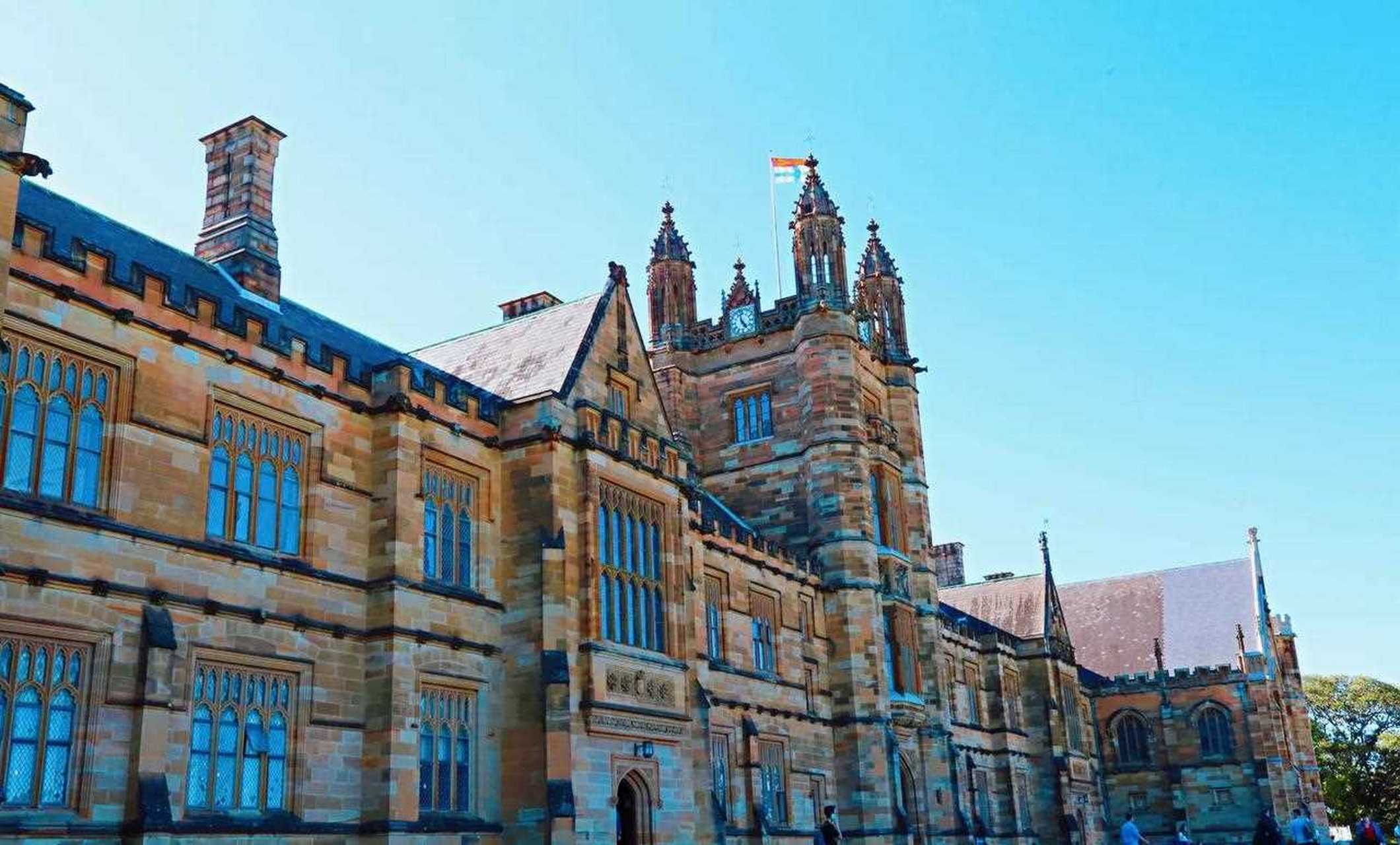 来悉尼大学邂逅蓝花楹,jacaranda被誉为澳大利亚最美丽的花朵,悉尼