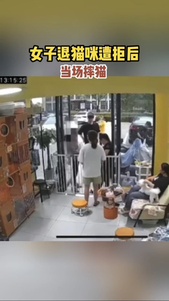 "浙江奉化,一女子退喵咪遭拒后,当场摔猫.