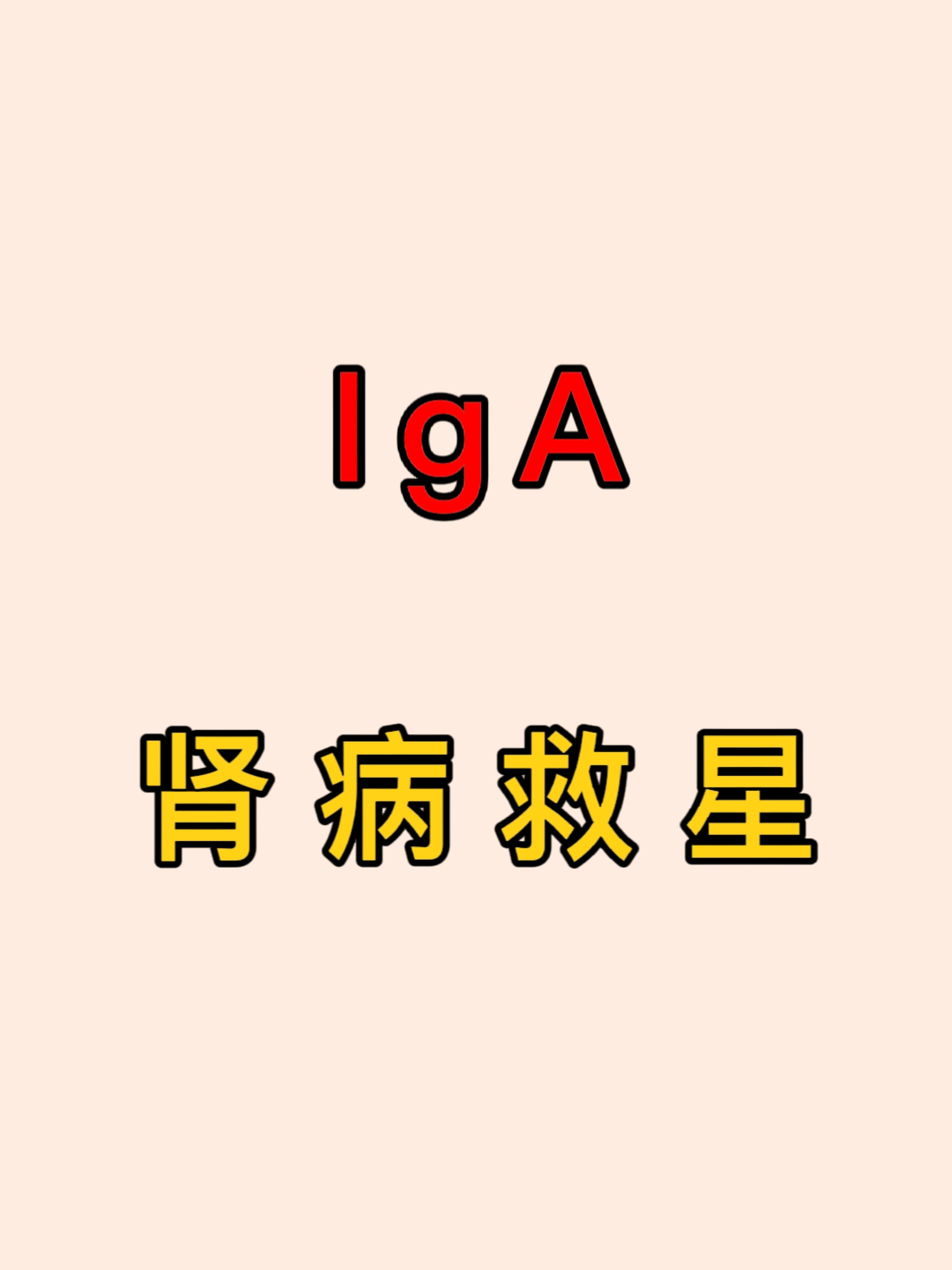 什么是iga肾病?