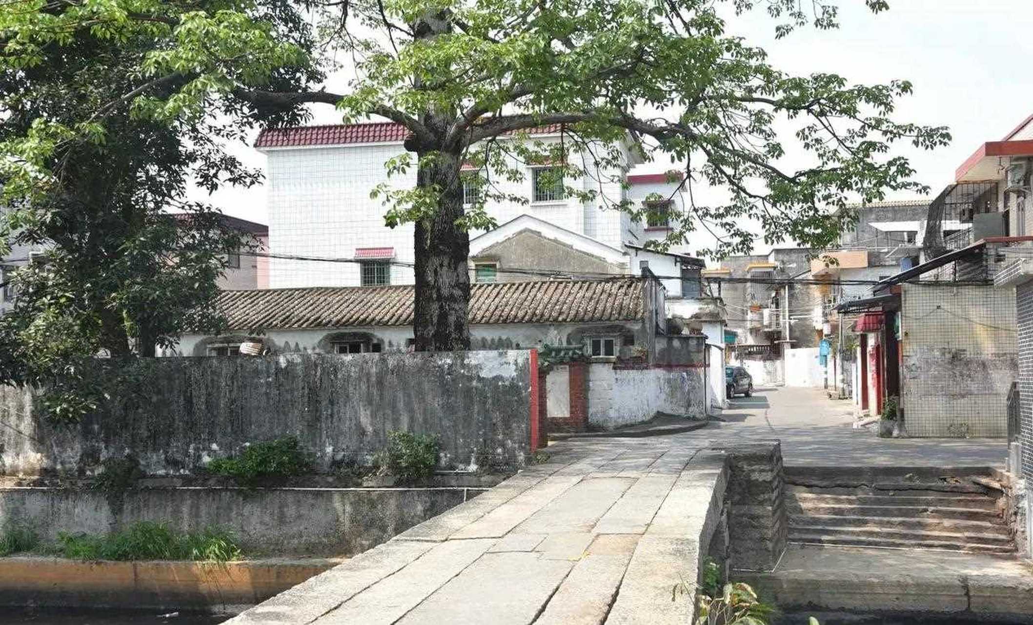 中山市坦背图片