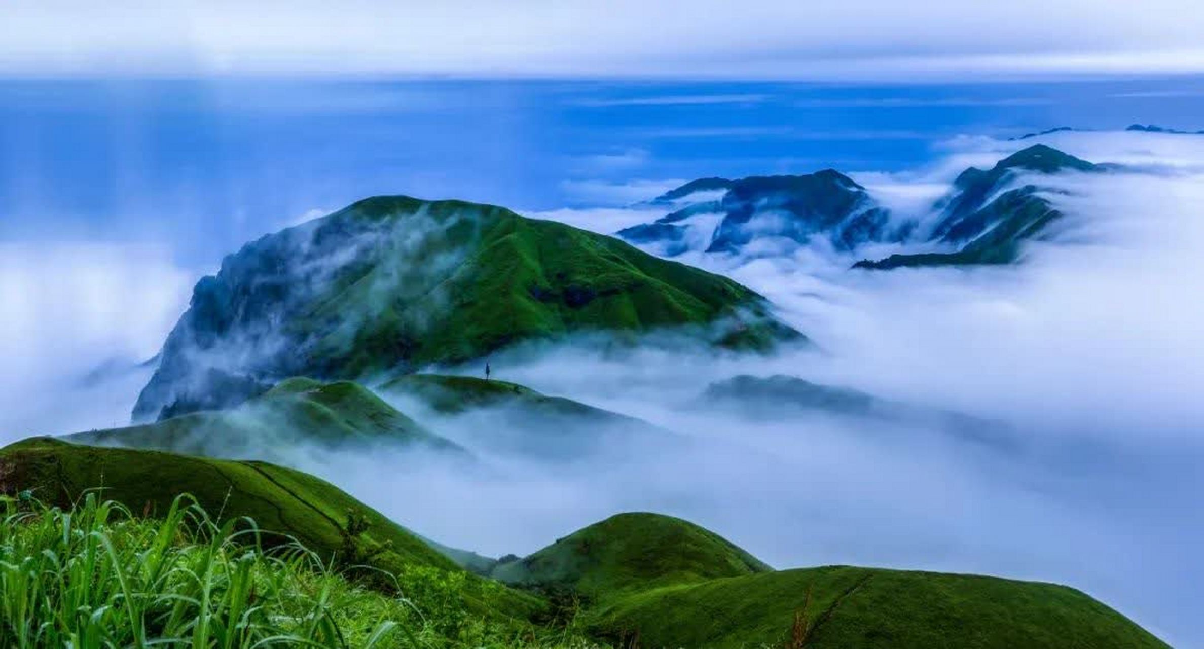 苍南云海草原图片