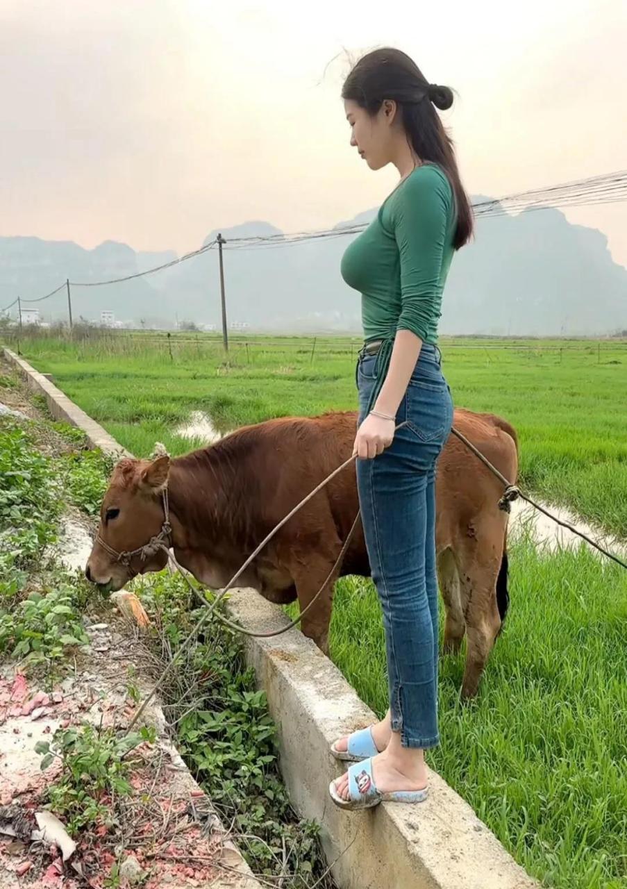 记得爷爷经常带我割草放牛放羊.