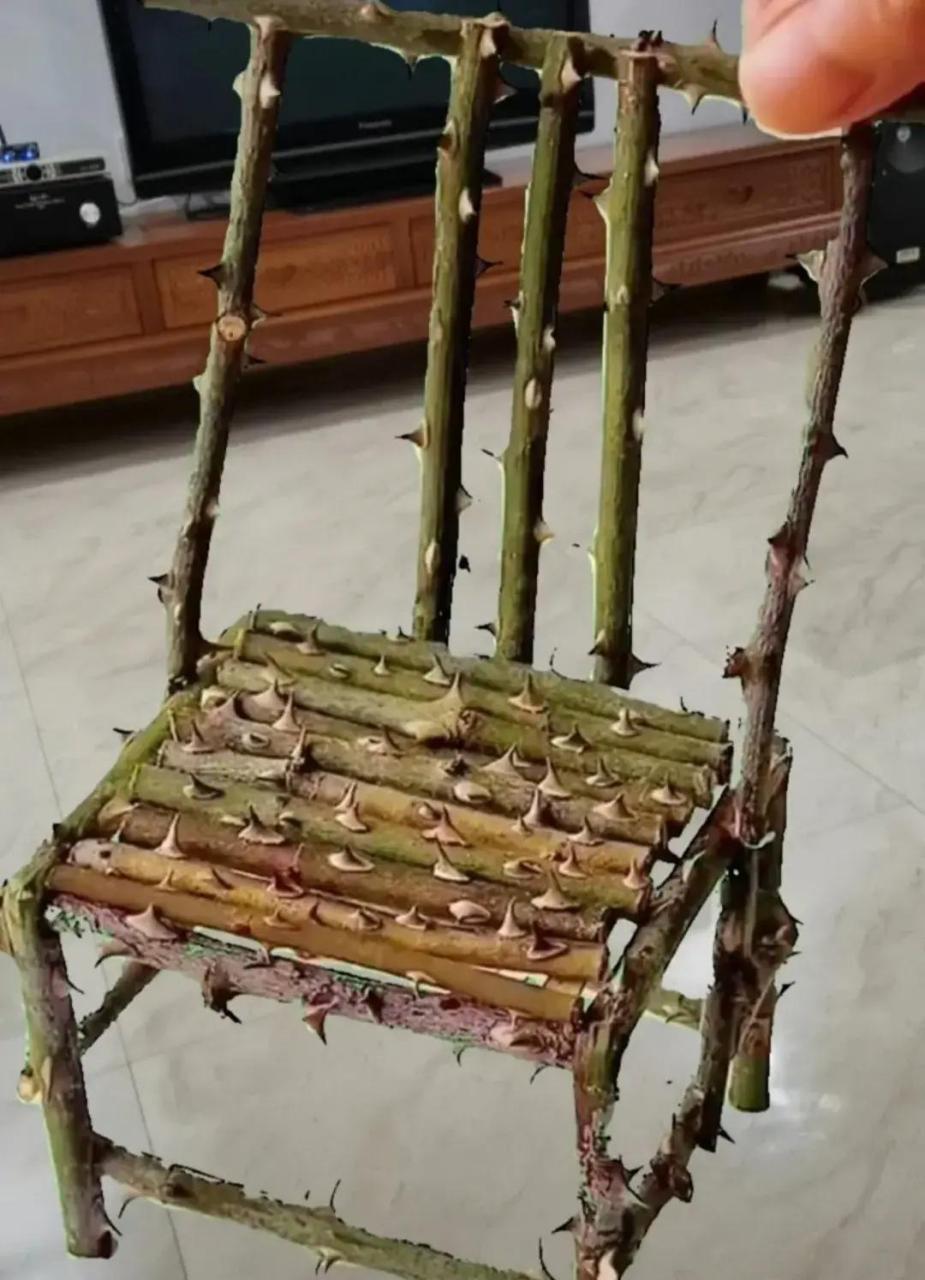 有了这个,不用买榴莲了 有事可以坐下来好好谈谈了!