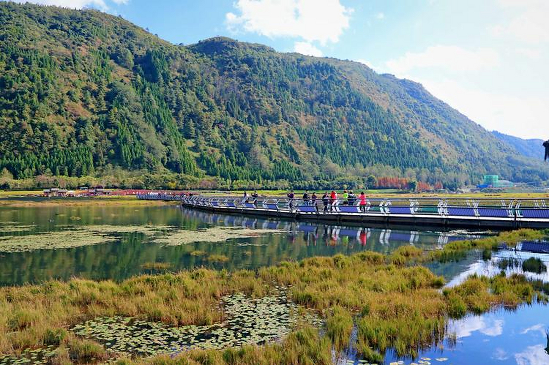 腾冲北海湿地,是我国唯一的高原火山堰塞湖浮毯湿地.  这里有广袤无垠