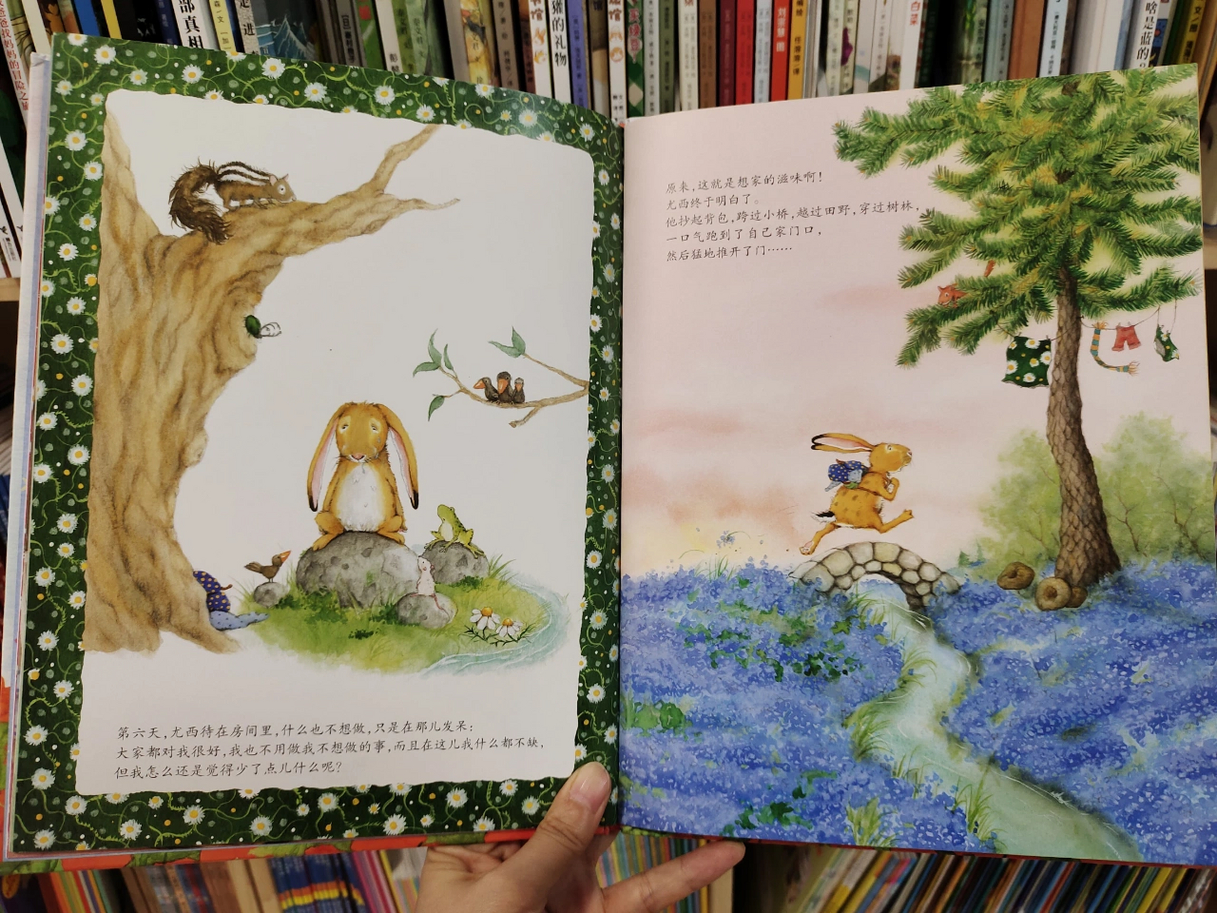 成长类绘本推荐《我只爱你》 #亲子共读儿童绘本# 作者:优妲·郎柔亭