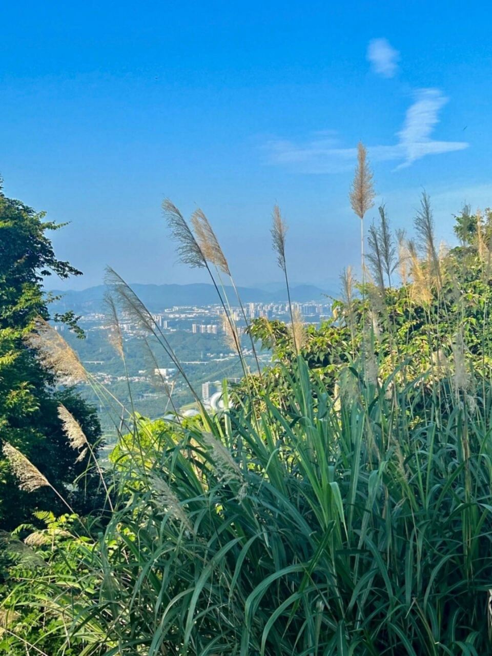 最美山野徒步  广州油麻山风景十分清秀,建议家人们都去看看!