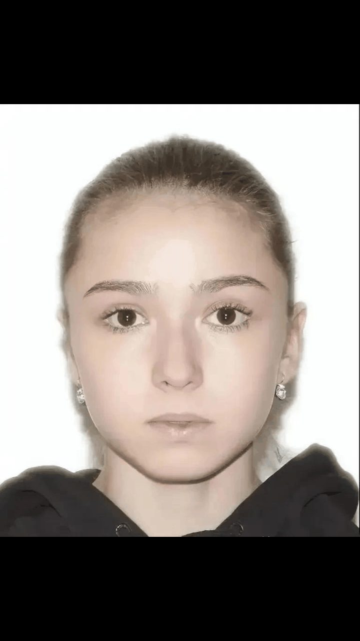 gif创作人# 看完俄罗斯三套娃的证件照,网友惊叹不已!