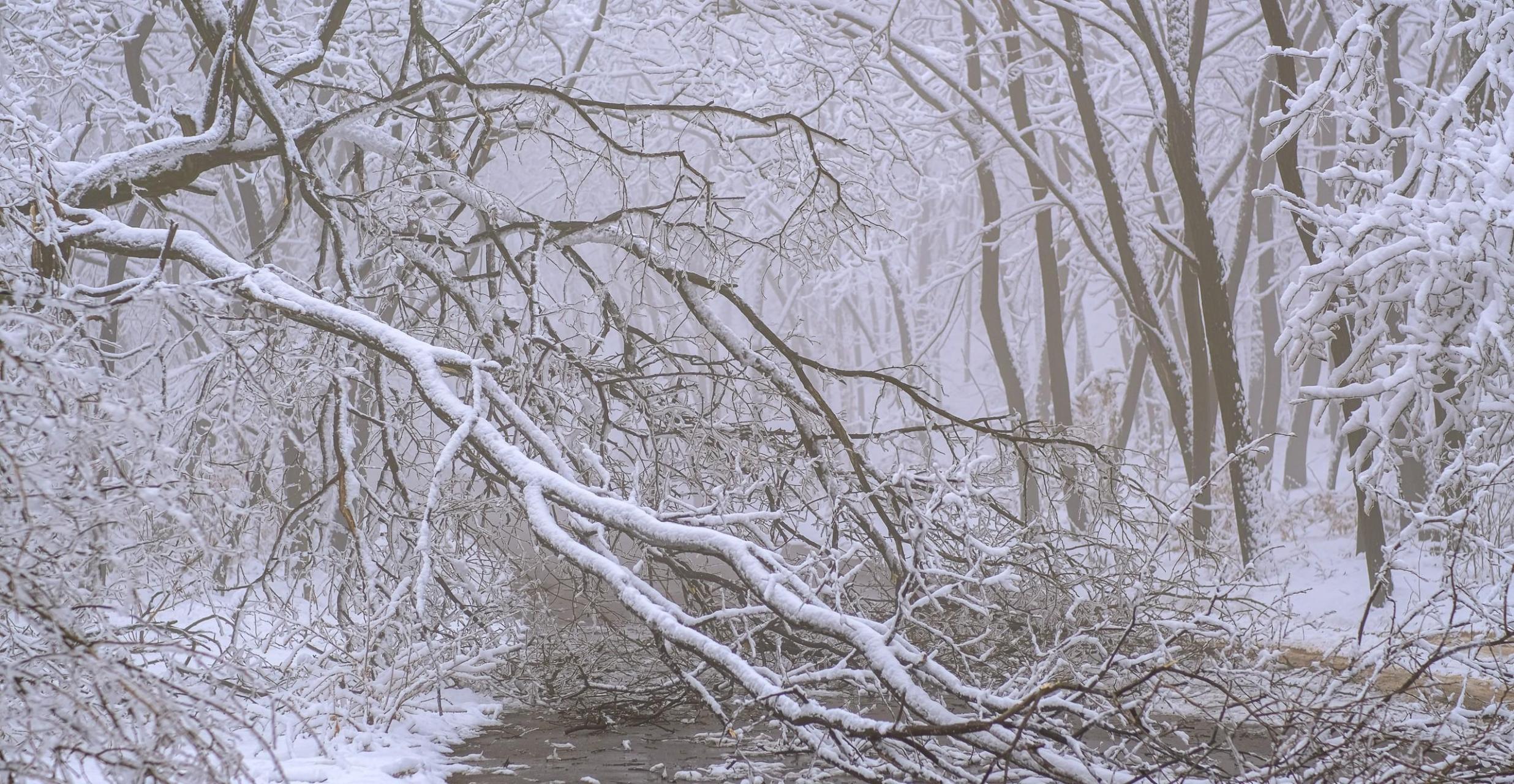 领动计划# 咸阳市礼泉县南坊镇瓦庙山,雪后银装素裹的美丽世界.