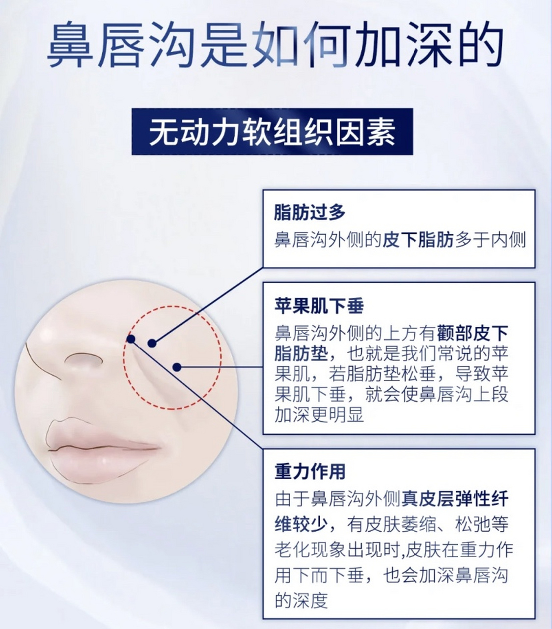 鼻唇沟的具体位置图片图片