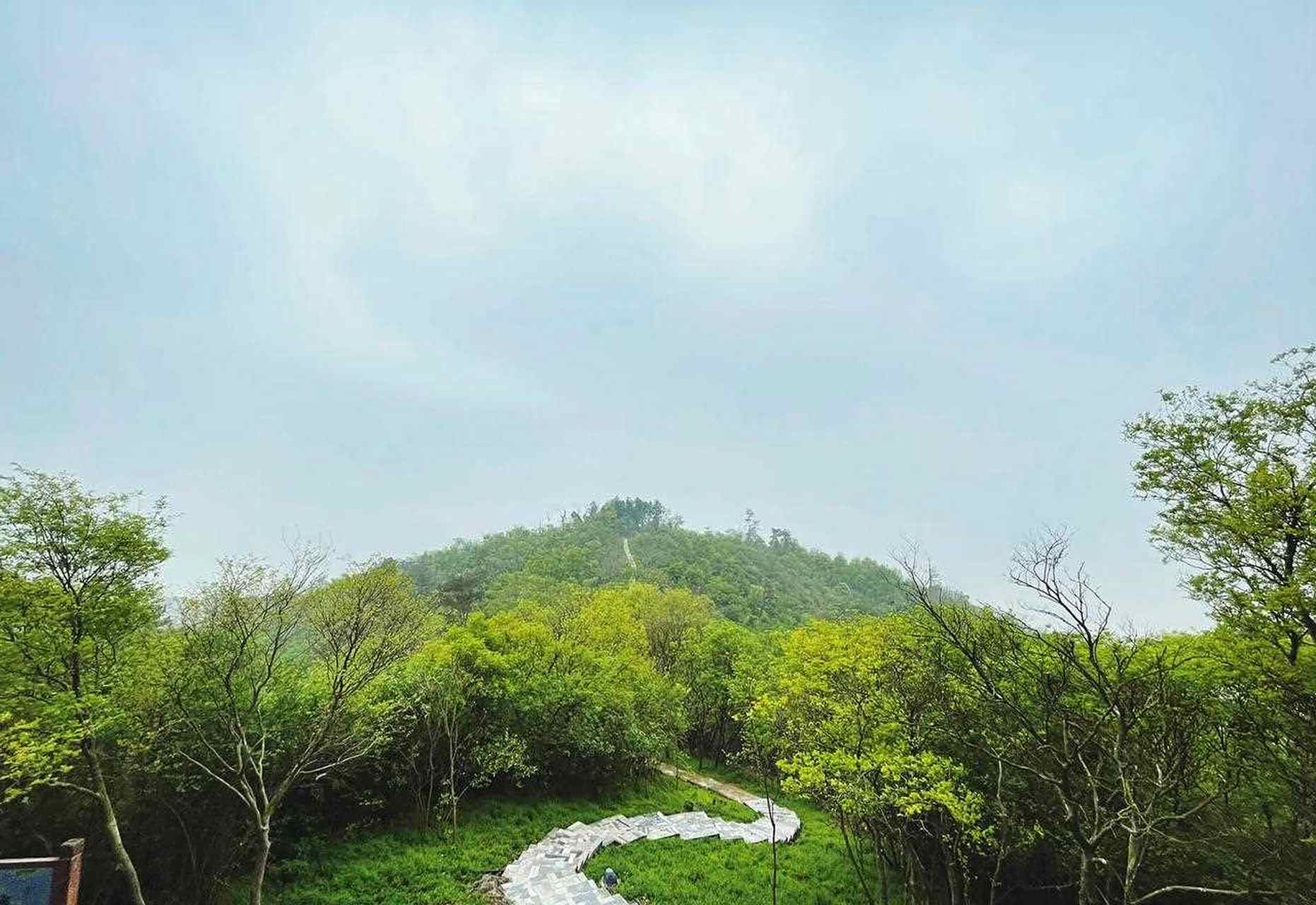 吱吱旅行记录(吱吱的奇妙旅行)