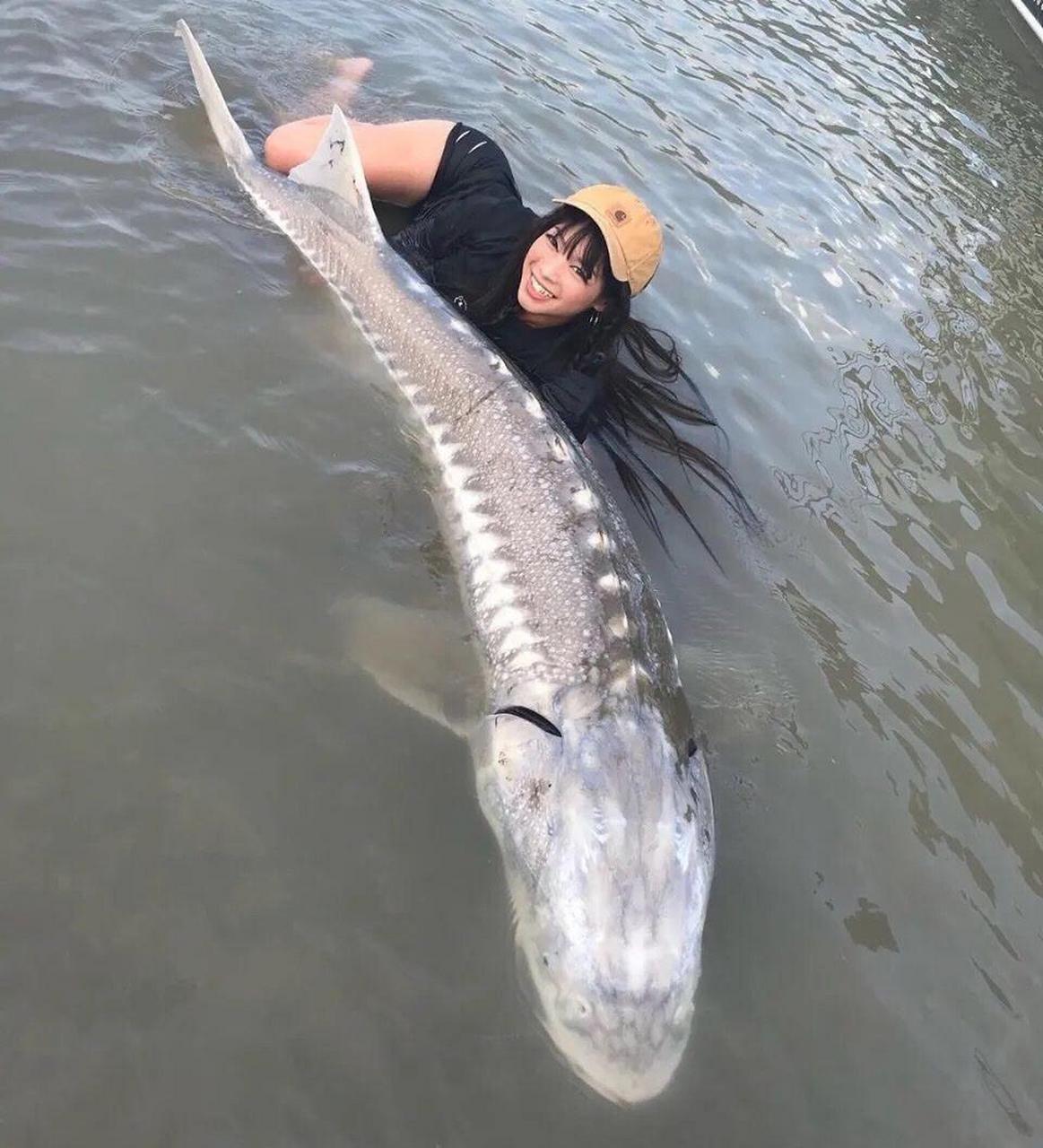 这鱼真大[捂脸]