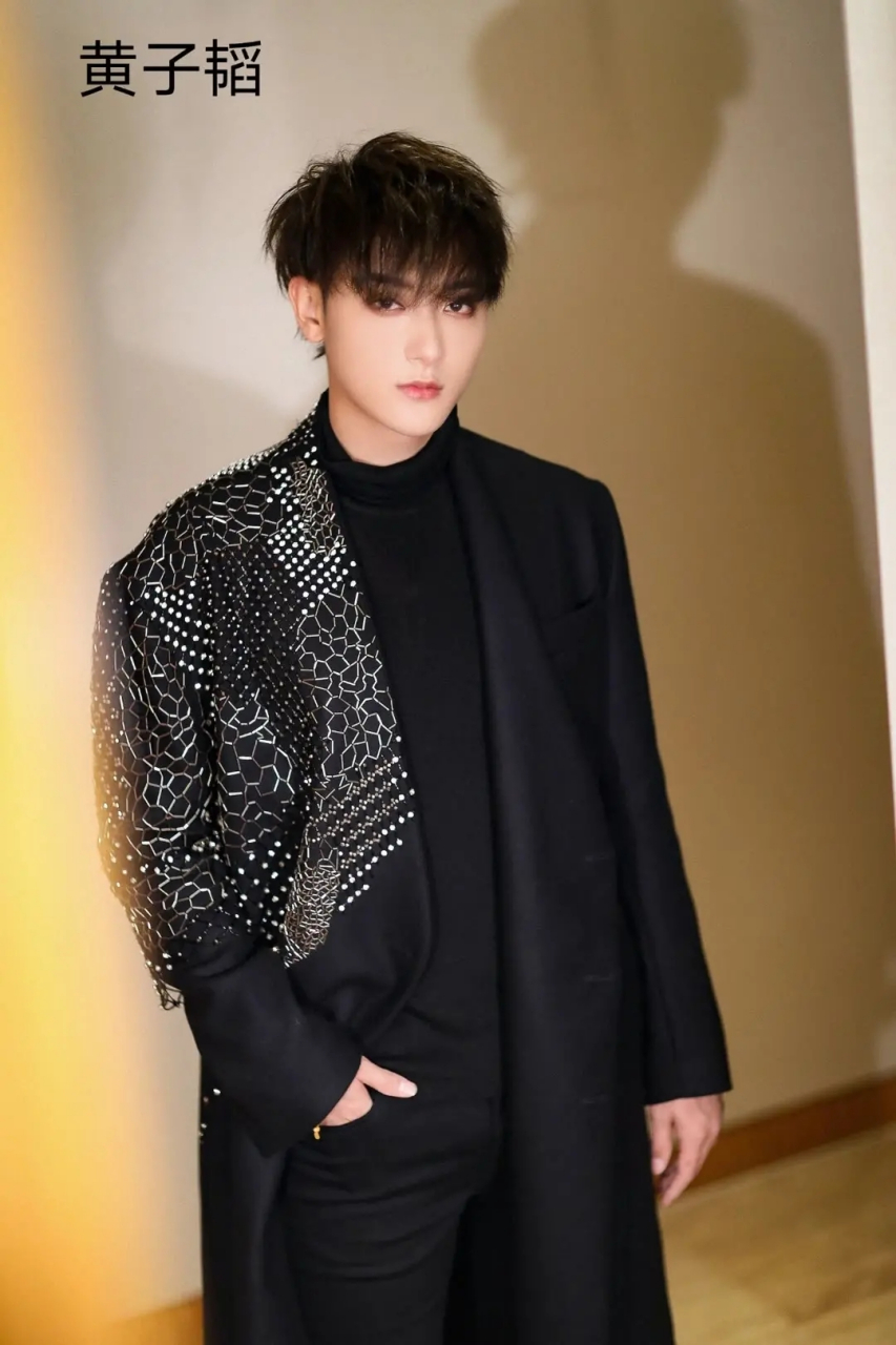 论中国男明星的颜值