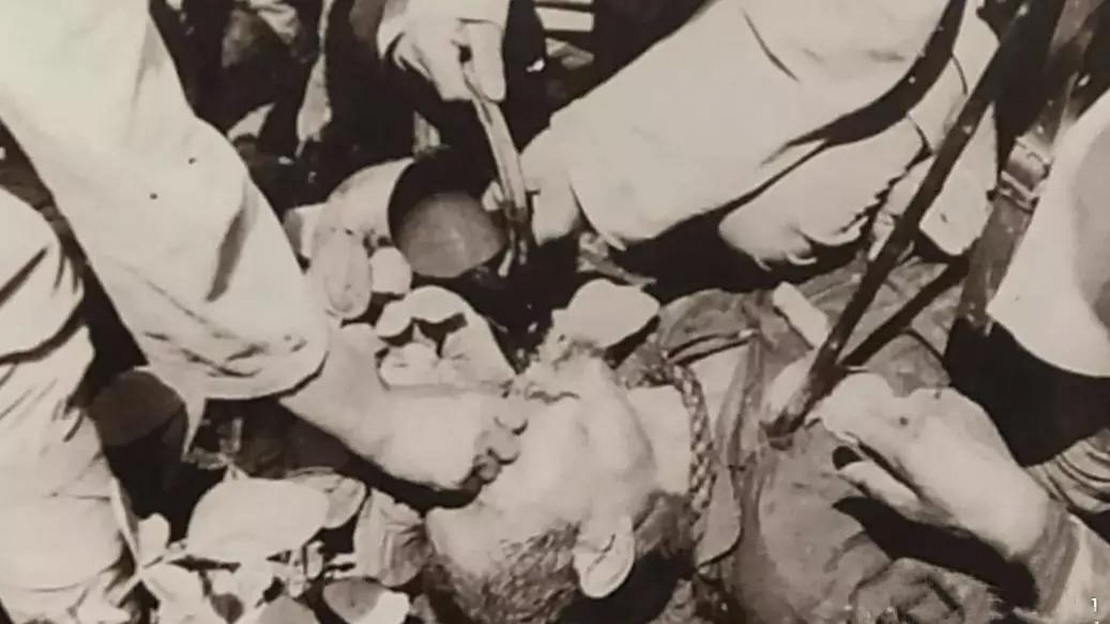 请告诉我您的看法.