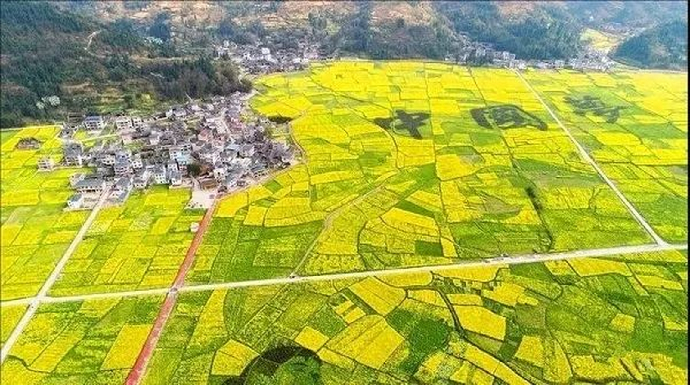 瓦屋乡的万亩油菜花,每年都会引来无数游客漫步田间小径,品味油菜花的