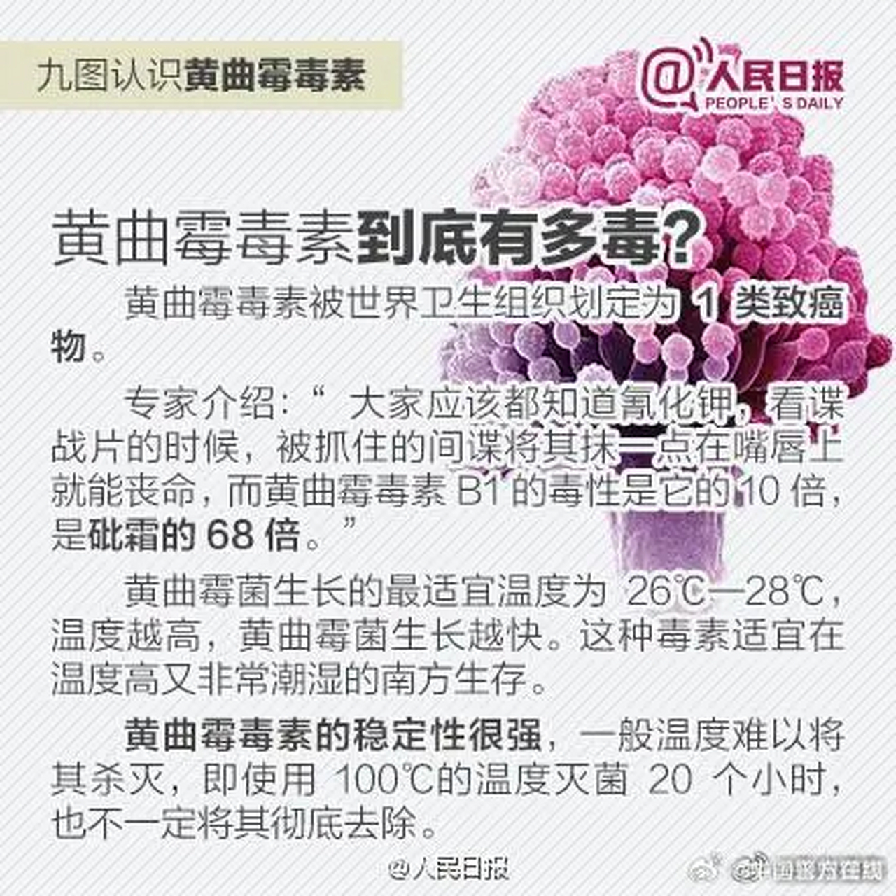 当这些食物被感染并产生毒素时,就会影响到它们的安全性.