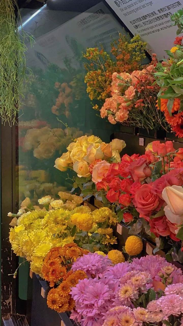 小众却惊艳的情感文案: 遇见你以后,你说的每句漫不经心的话全在我心