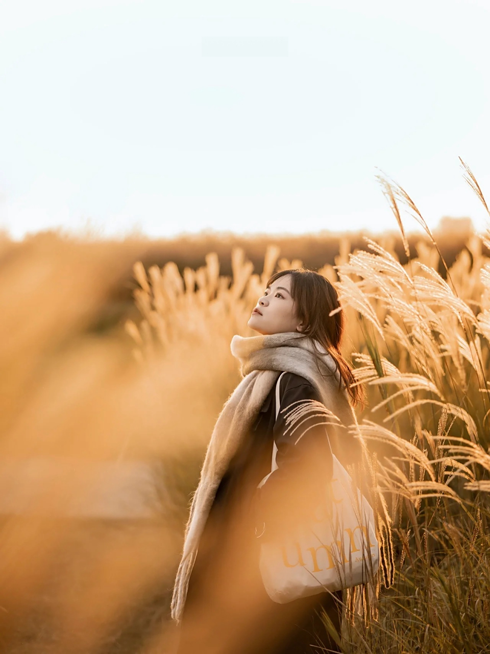 难得等来了晴天,漫步在白鹭桥尽头的野地芦苇中