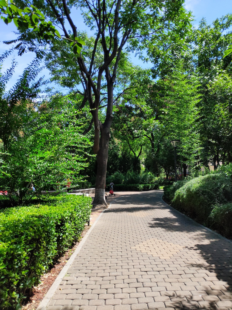 与西城图书馆只有一墙之隔的街心公园——北京官园公园.#八月不停更