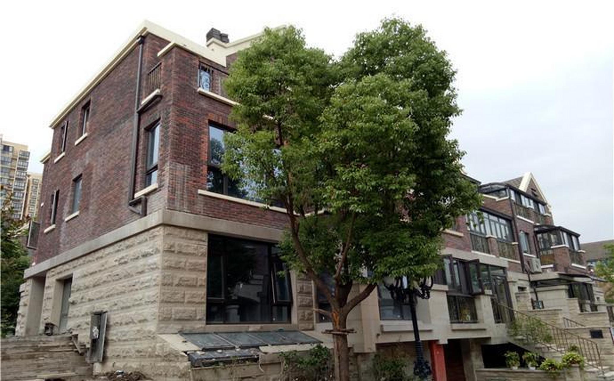 别墅的外观就给人一种生人勿进的感觉 走到里面,更是把华丽,精美和