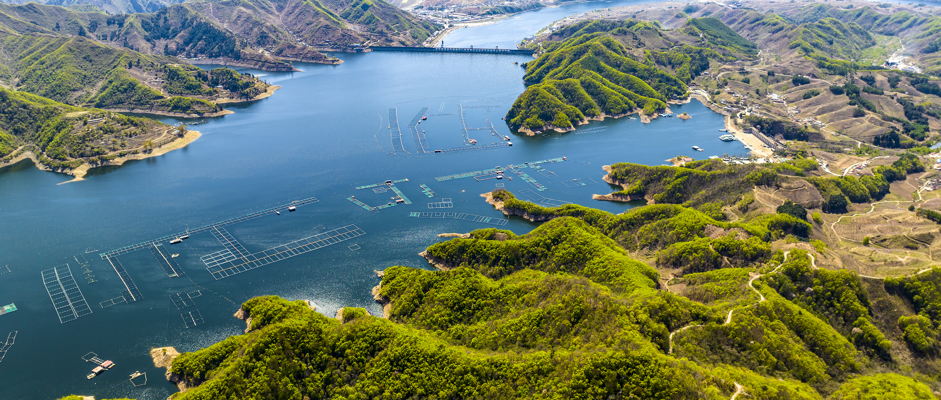 贯彻二十大辽宁在行动#  美丽丹东 #振兴新突破辽宁杠杠滴