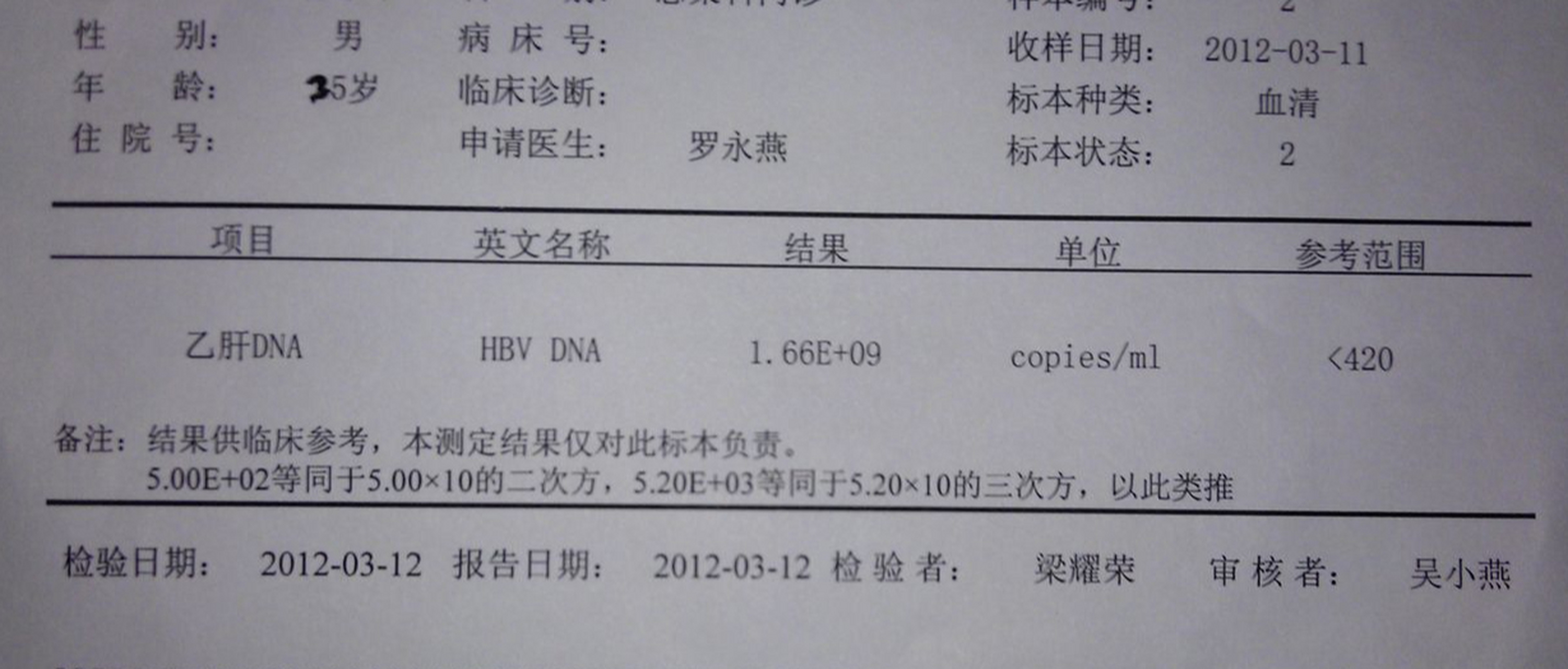 乙肝病毒DNA对照表图片