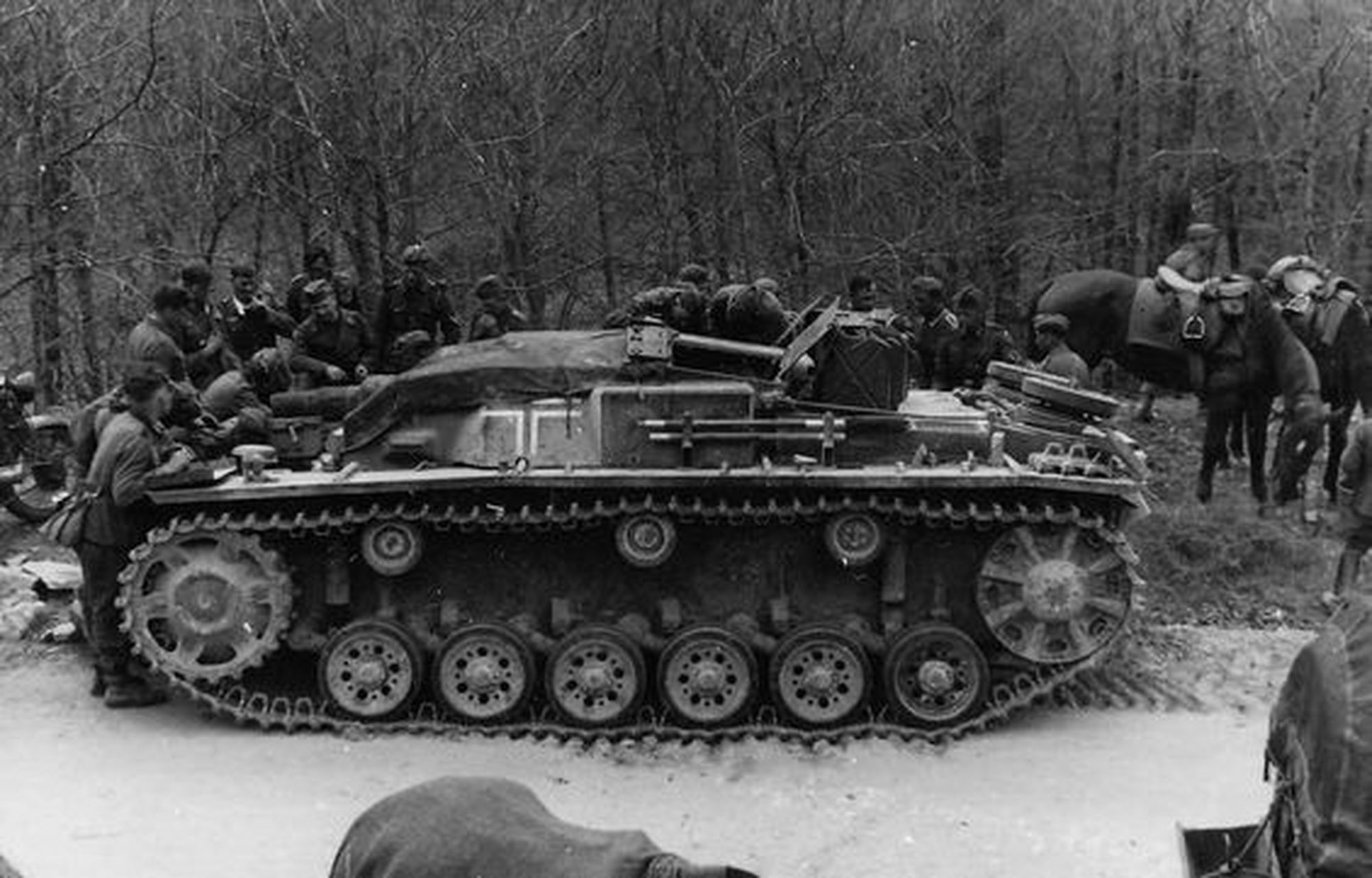 二战历史# 战场上的德国三号突击炮,又称三突子,是一款在东线大杀