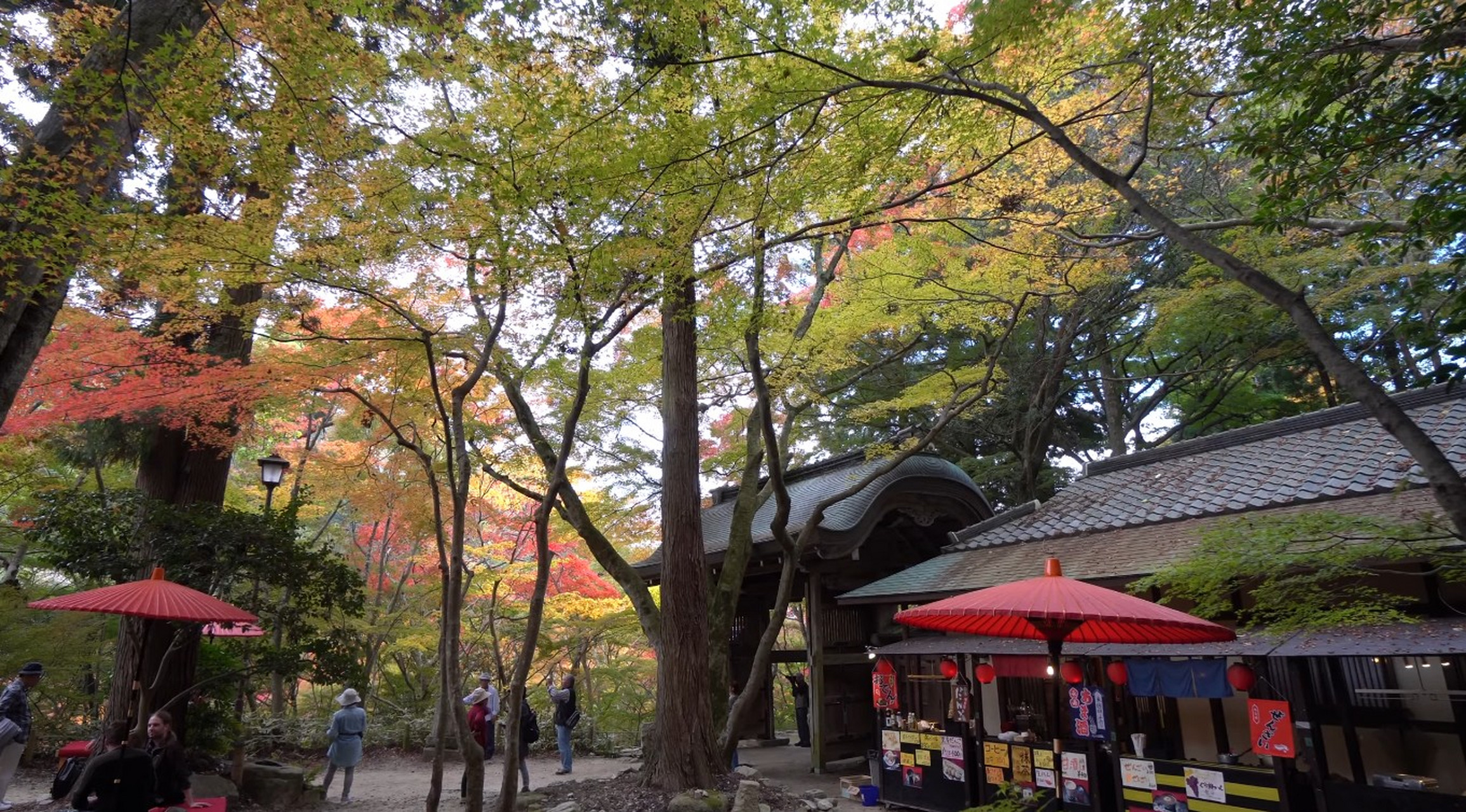 赏秋进行时# 瑞宝寺公园的秋天美景!