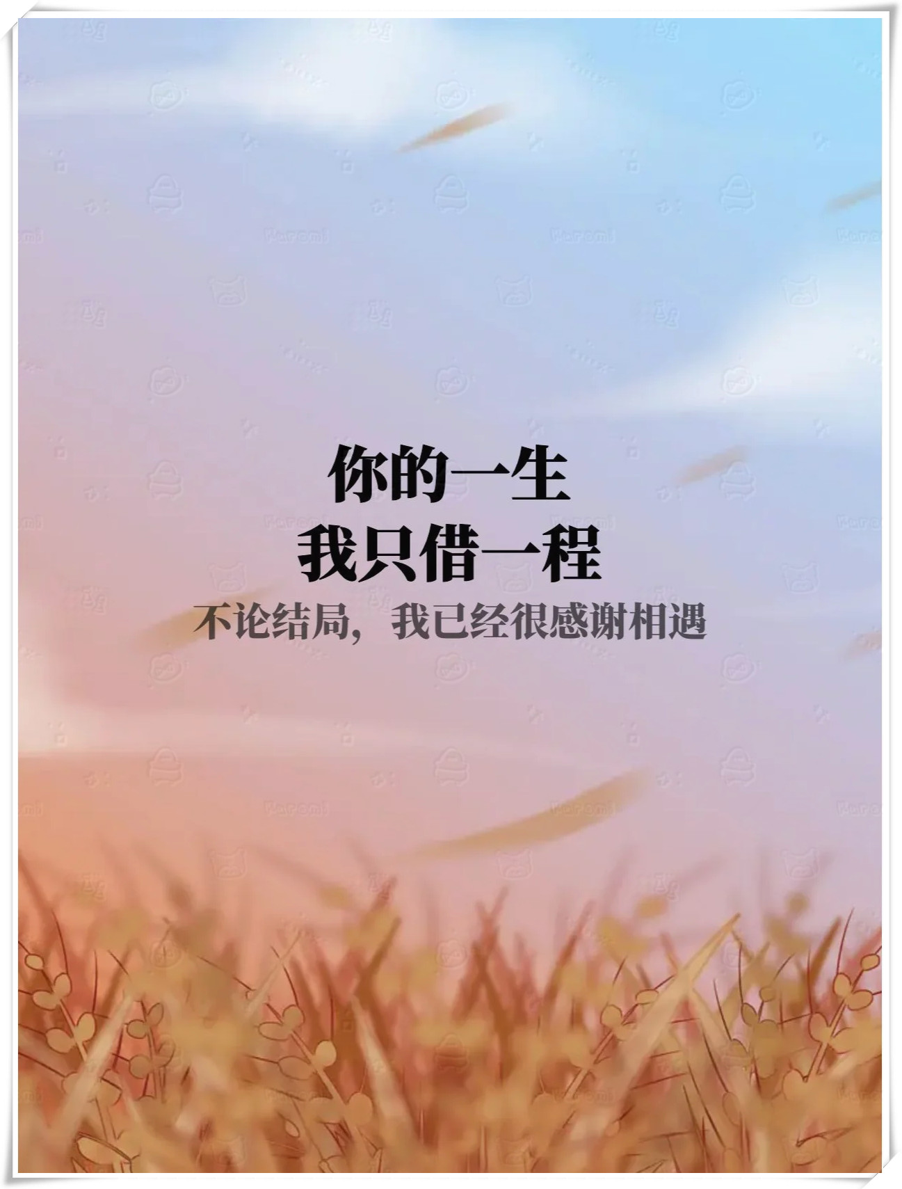 当年,我们犹如无爱无知之人, 却渐渐领悟了爱的