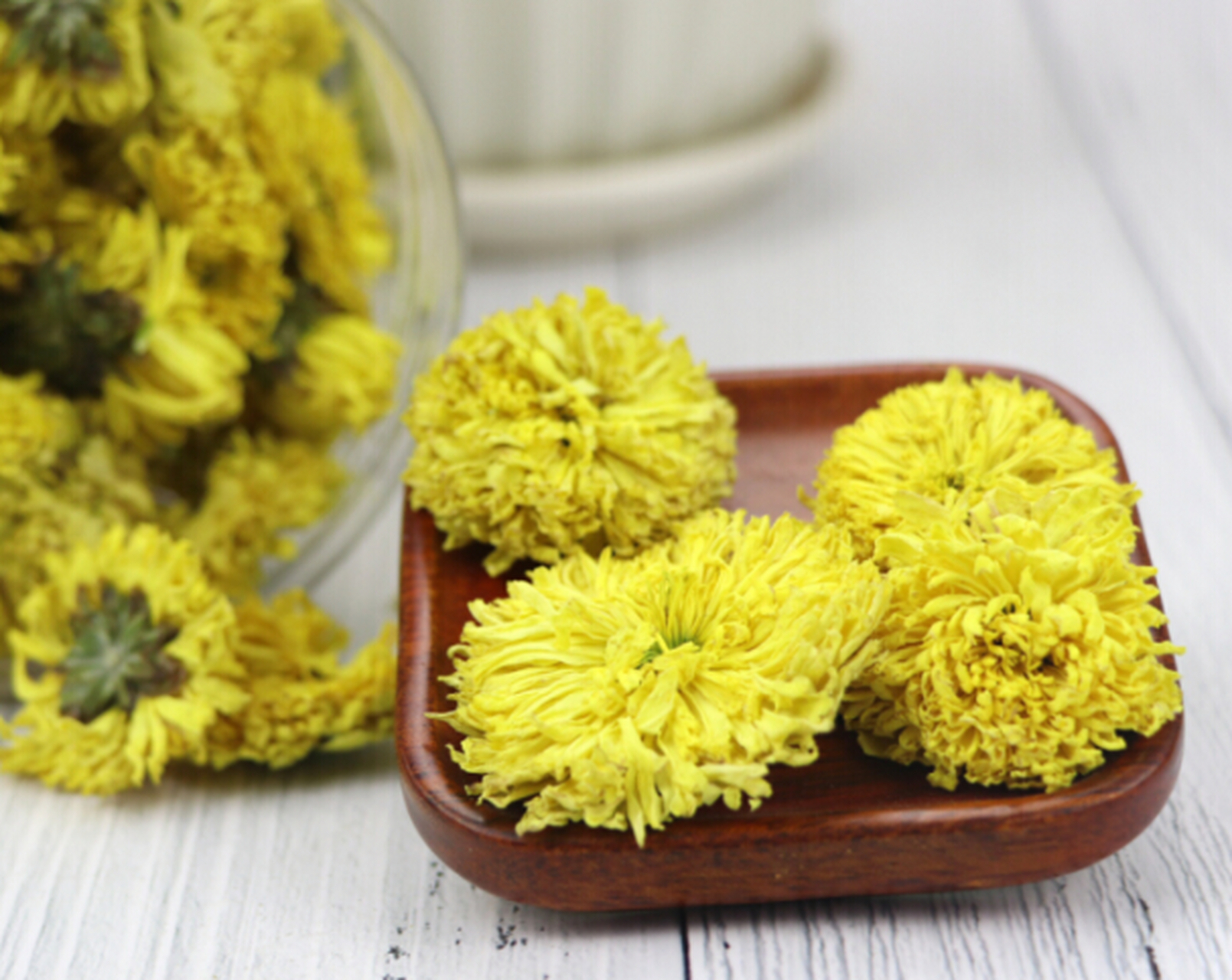 青驰菊不仅外形硕大美观,花瓣紧密厚实,而且内含菊甙,胆碱,维生素等