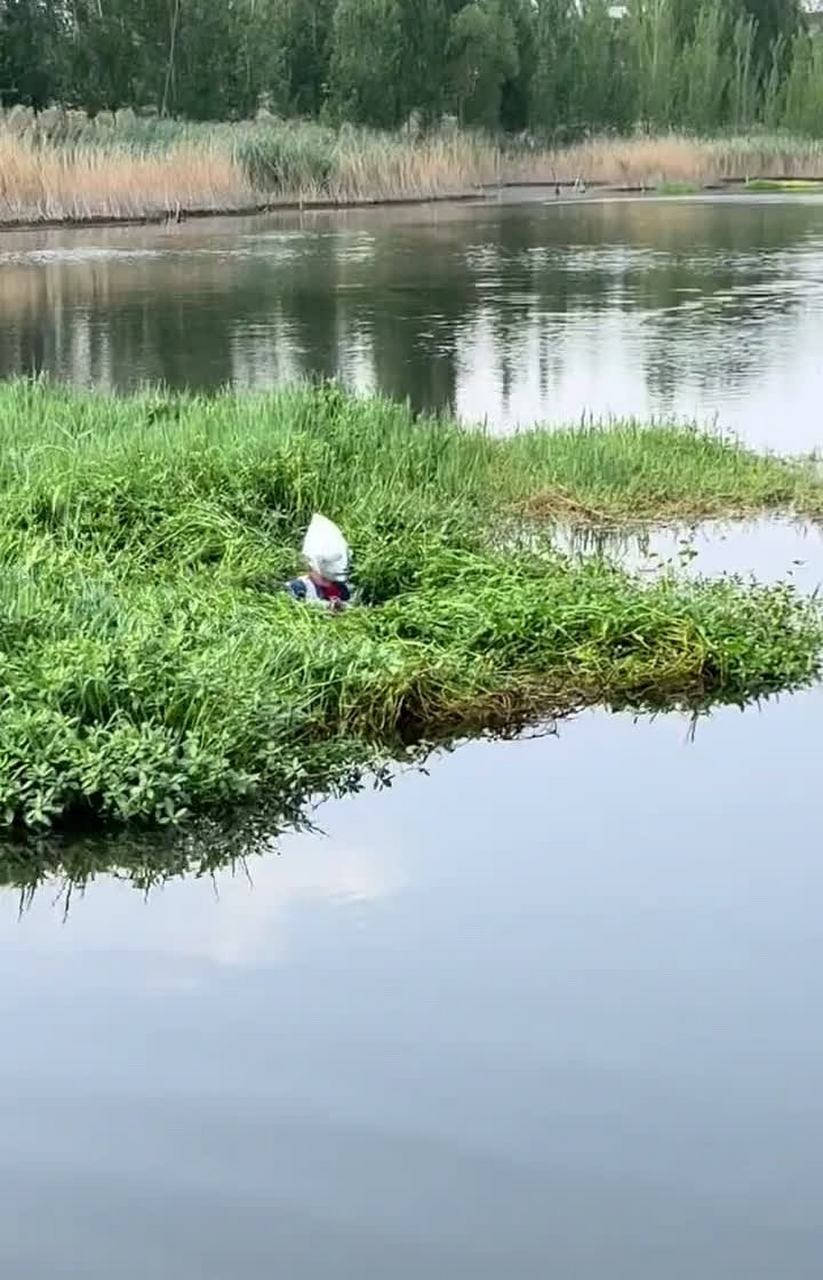 我发现了一只野生奥特曼,我很想捕捉它!