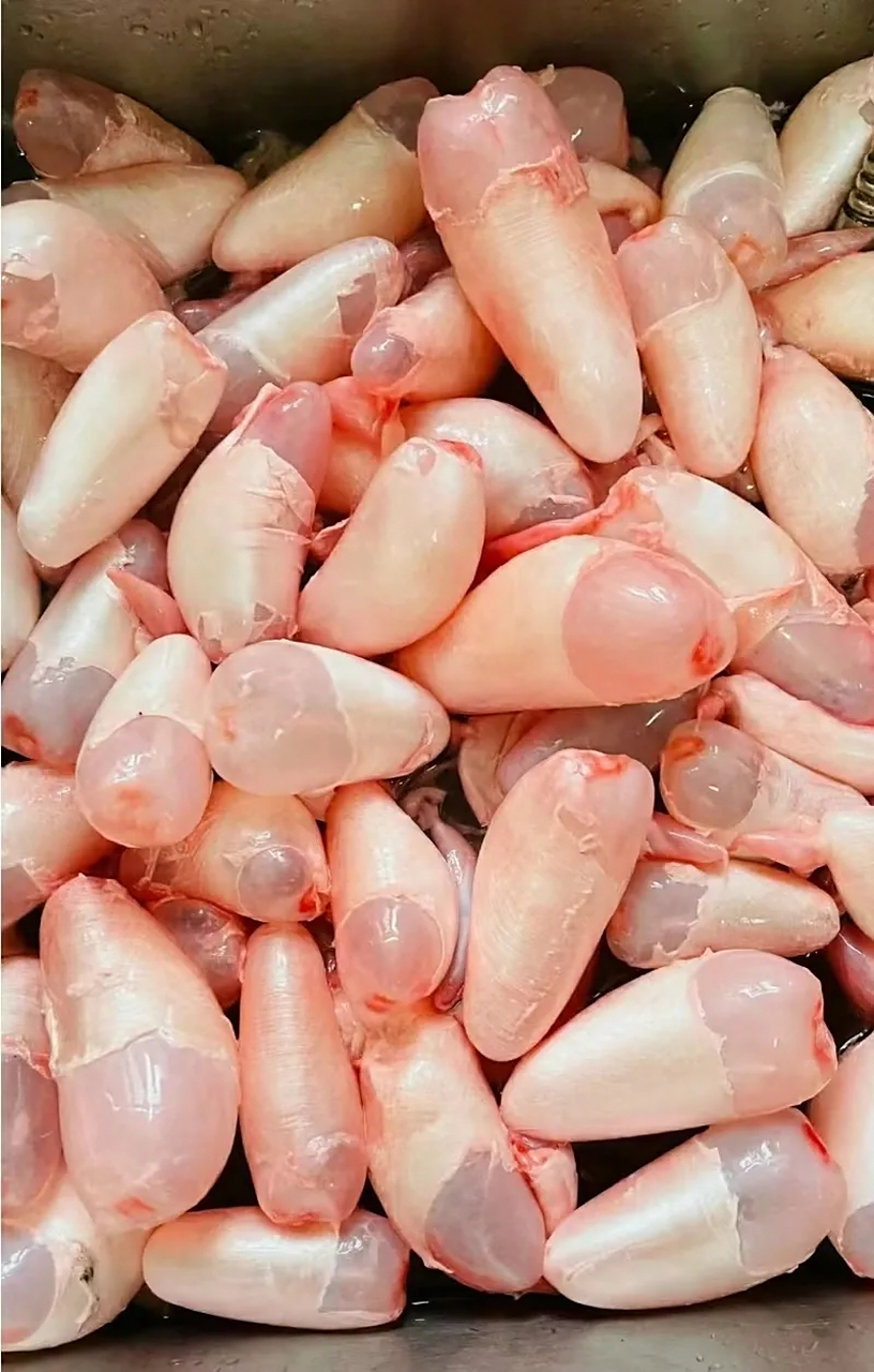 都是刚处理的鲢鱼,鳙鱼的鱼泡