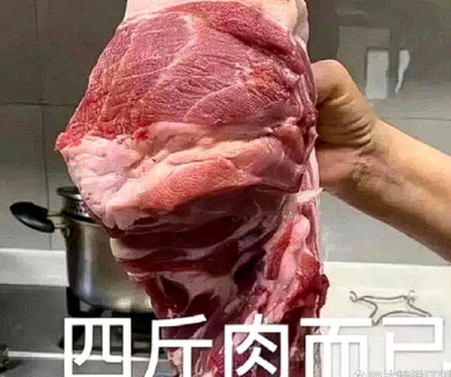 5斤肉有多大一块图片图片