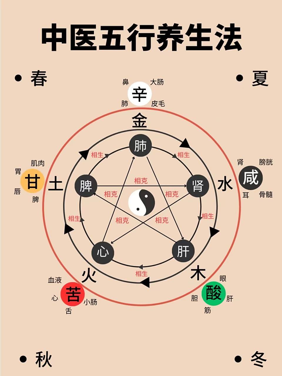 五脏和五行要搞懂,中医里面的心肝脾肺肾很有讲究的,要去领悟~##中医
