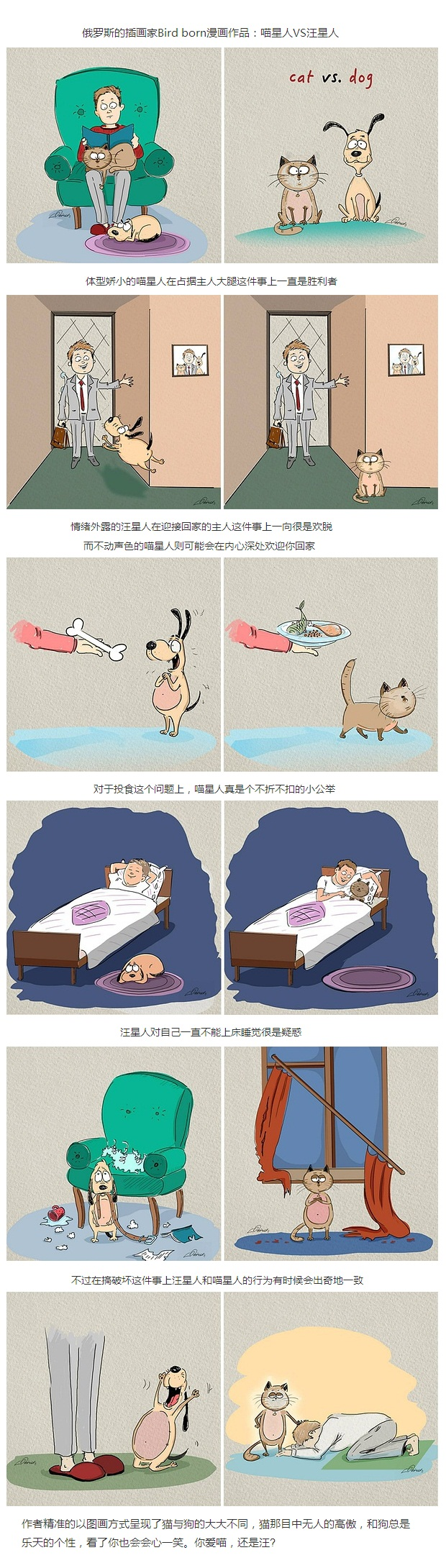 养猫和养狗的区别,狗奴看了沉默猫奴看了流泪[大哭]  