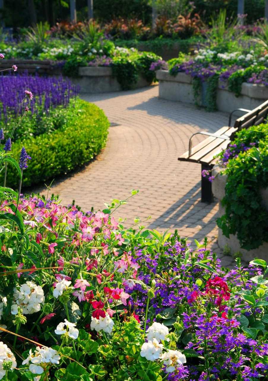 美式乡村民宿花园 乡村风格从植物和硬质上都偏向于随性[委屈] 乱中有