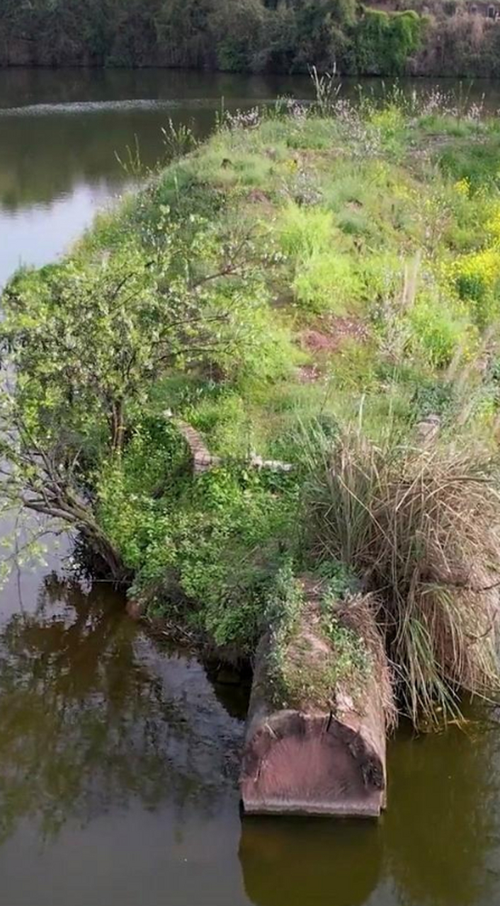 这应该是某个大人物的风水宝地吧