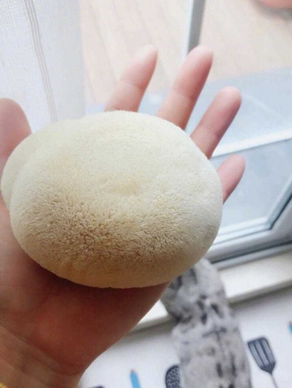 新鲜猴头菇也太可爱了吧白白圆圆毛绒绒 [阴险]
