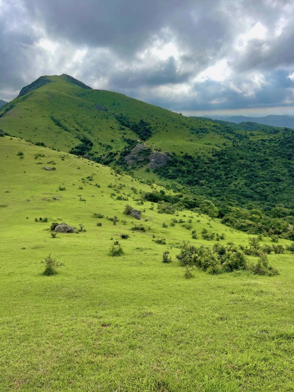 福建人一定要去一次大姆山草场,太治愈了~  福州福清大姆山草场,一片