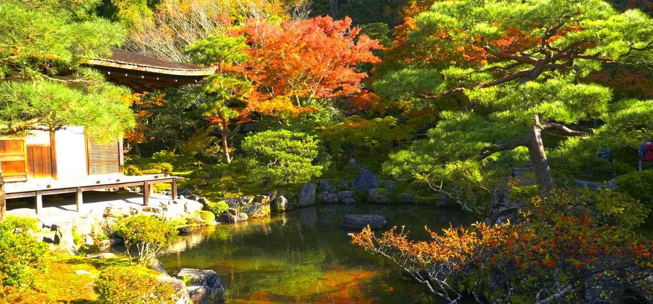 优美的枯山水庭院银阁寺!