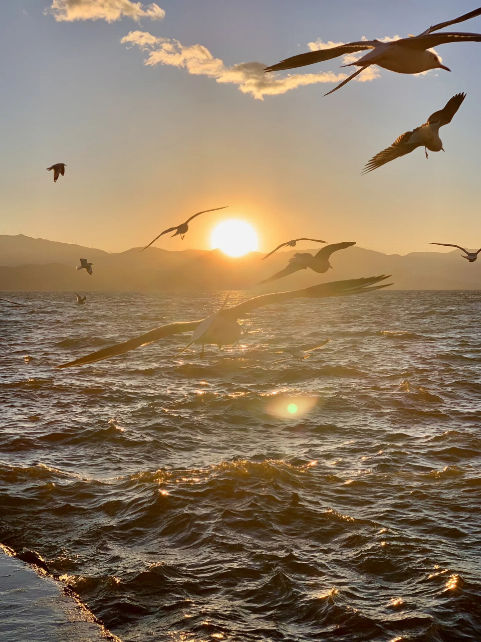 洱海日出  与你分享一场海上日出7715 	 99:龙龛码头